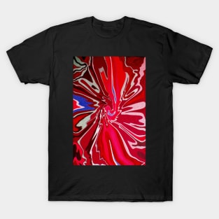 Stocksom River Red Agate T-Shirt